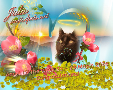 Julio of the erna63 family