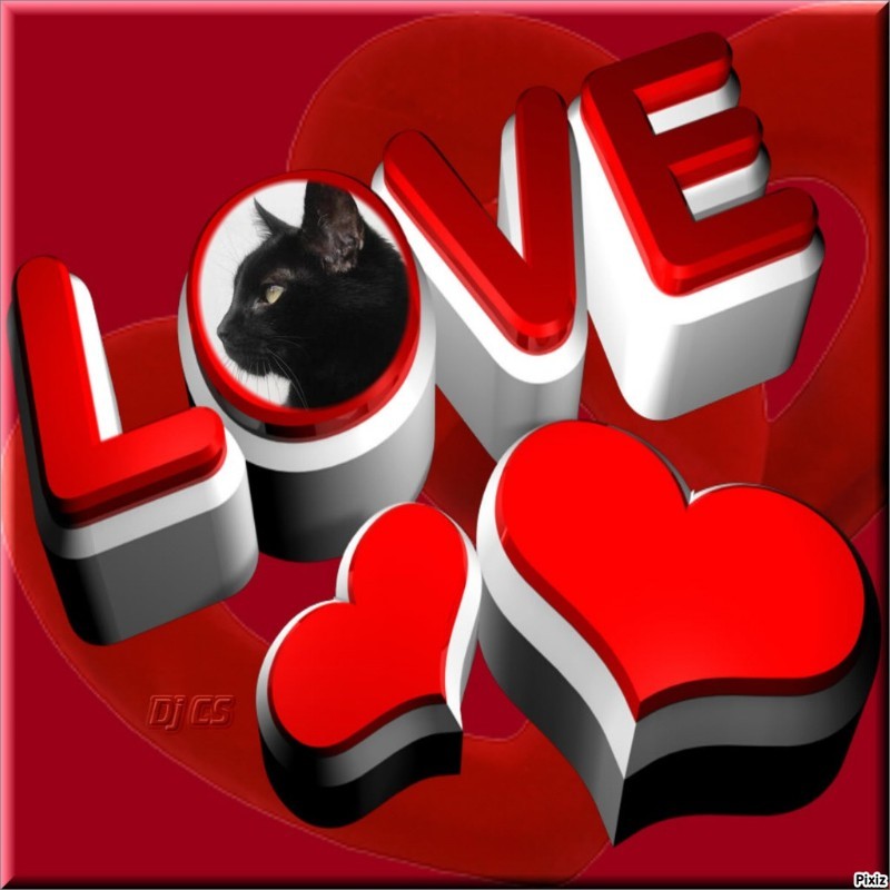 Julio of the erna63 family