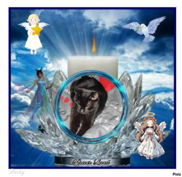 erna63 uploaded   15  day/s  ago