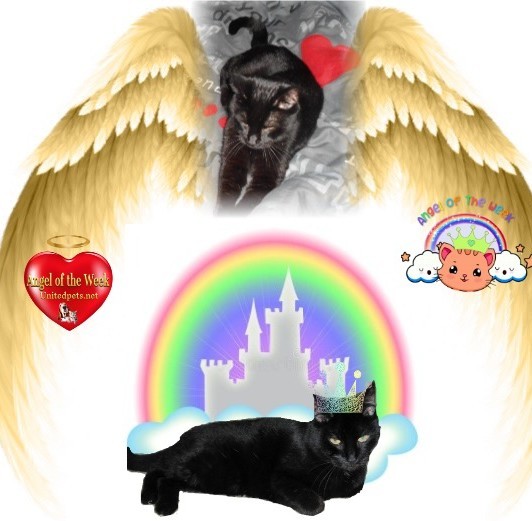 erna63 uploaded   16  day/s  ago