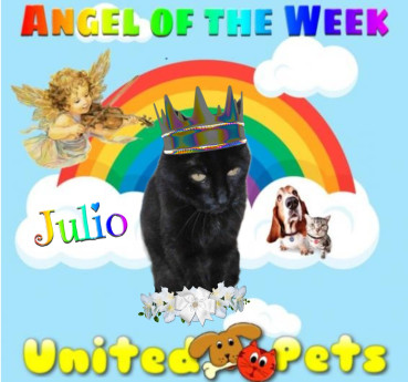 erna63 uploaded   16  day/s  ago