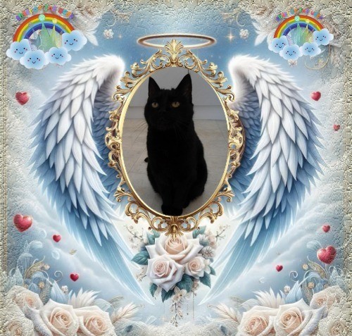 erna63 uploaded   16  day/s  ago