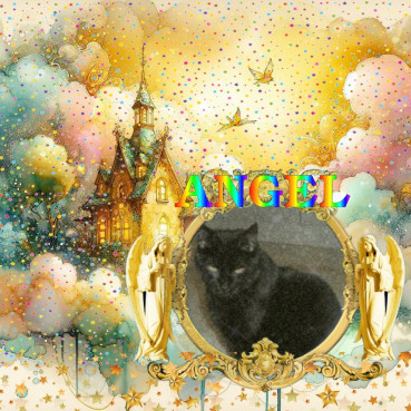 erna63 uploaded   15  day/s  ago