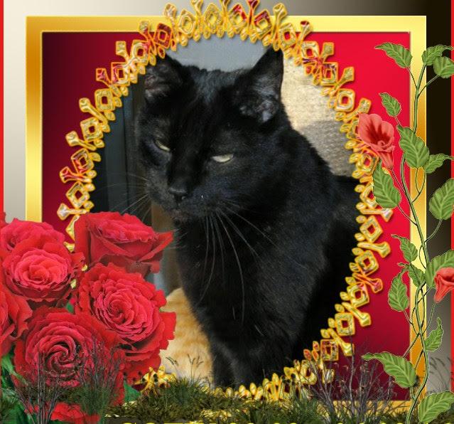 Julio of the erna63 family