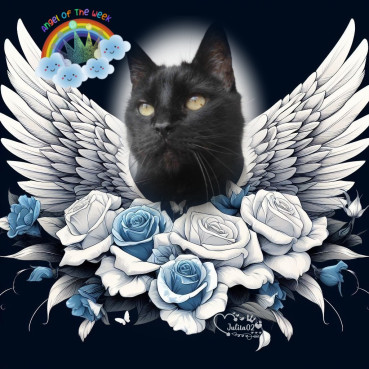 erna63 uploaded   19  day/s  ago