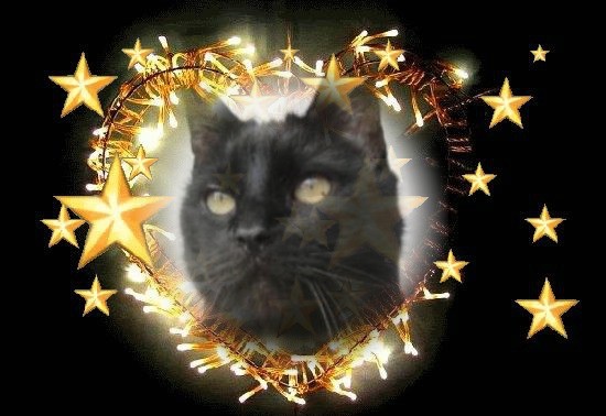 erna63 uploaded   17  day/s  ago