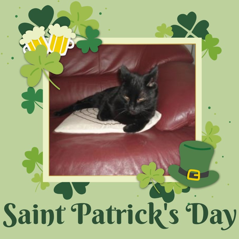 erna63 uploaded   43  day/s  ago