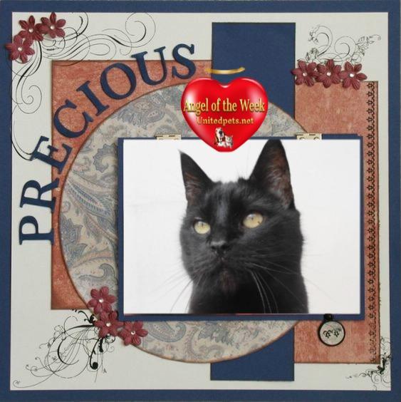 erna63 uploaded   17  day/s  ago