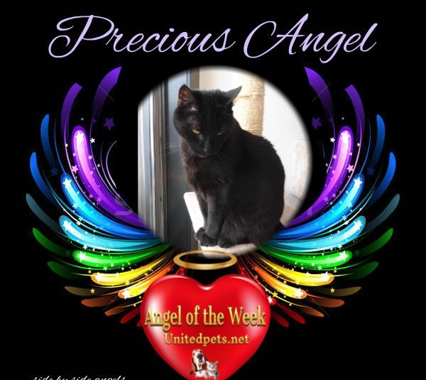 erna63 uploaded   16  day/s  ago