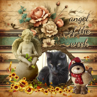 erna63 uploaded   21  day/s  ago