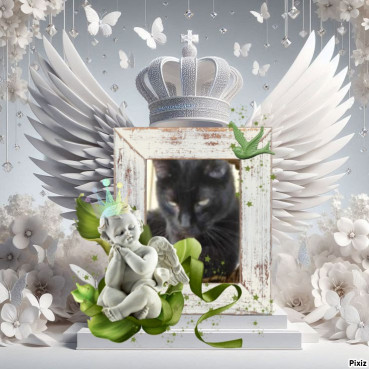 erna63 uploaded   19  day/s  ago