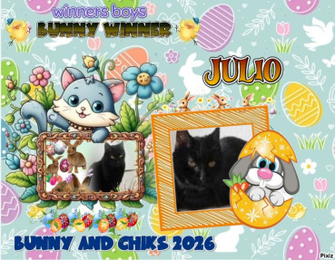 Julio of the erna63 family