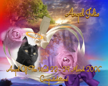 Julio of the erna63 family