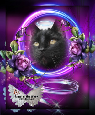 Julio of the erna63 family