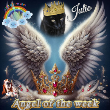 erna63 uploaded   14  day/s  ago