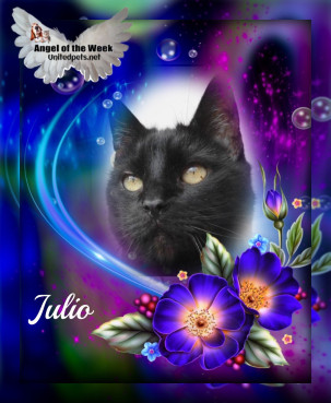 erna63 uploaded   16  day/s  ago