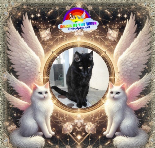 erna63 uploaded   16  day/s  ago