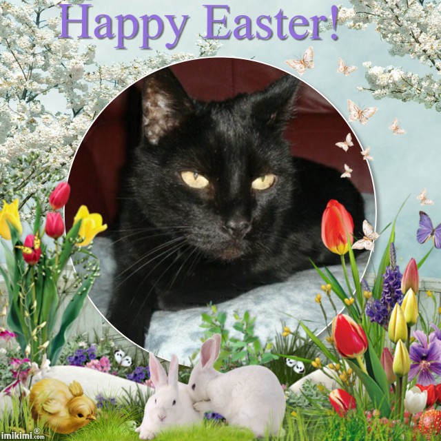 Julio of the erna63 family