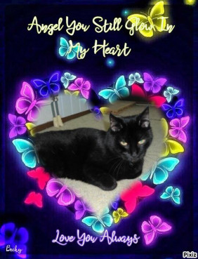 erna63 uploaded   16  day/s  ago