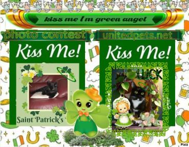 erna63 uploaded   27  day/s  ago