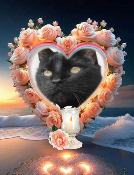 erna63 uploaded   21  day/s  ago