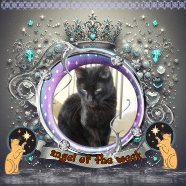 erna63 uploaded   20  day/s  ago