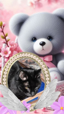 erna63 uploaded   15  day/s  ago