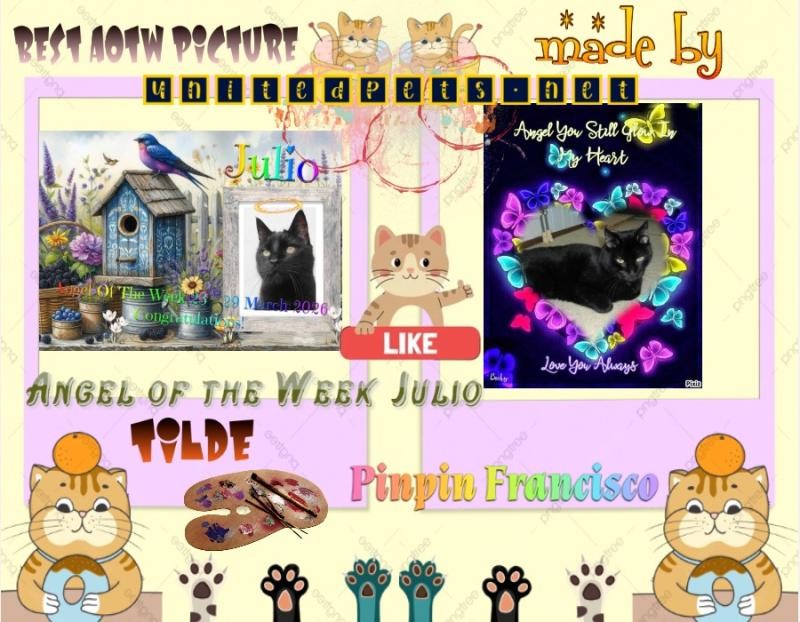 Julio of the erna63 family