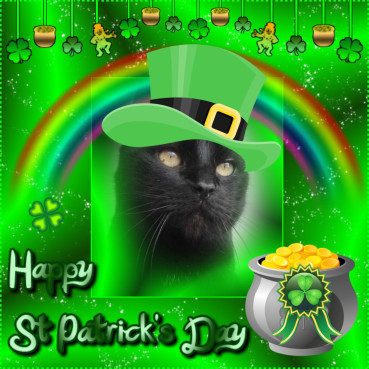 erna63 uploaded   32  day/s  ago