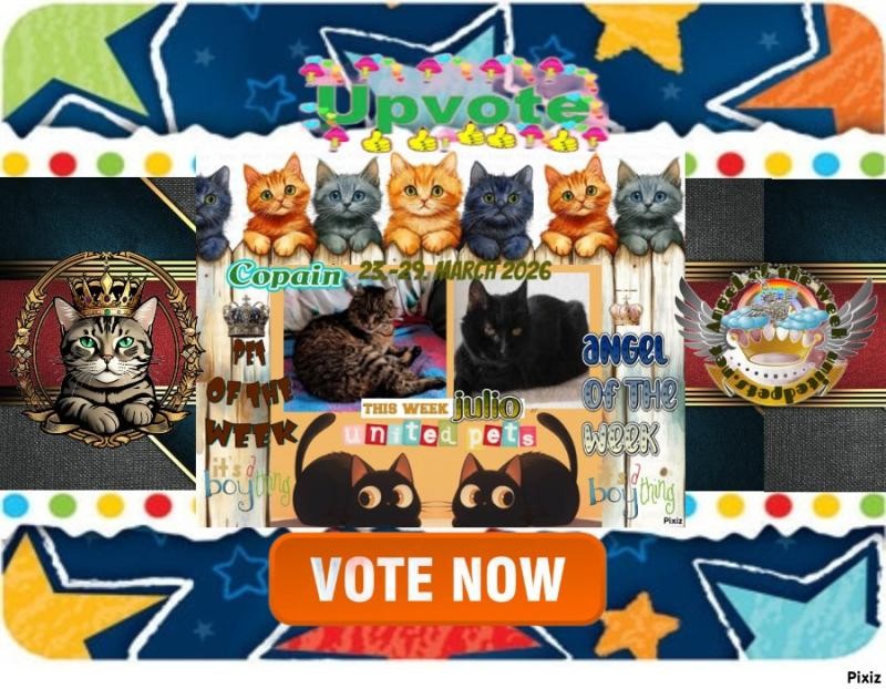 Julio of the erna63 family