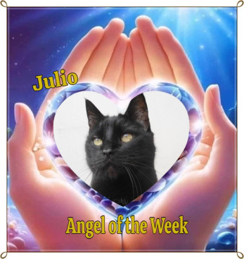 erna63 uploaded   19  day/s  ago