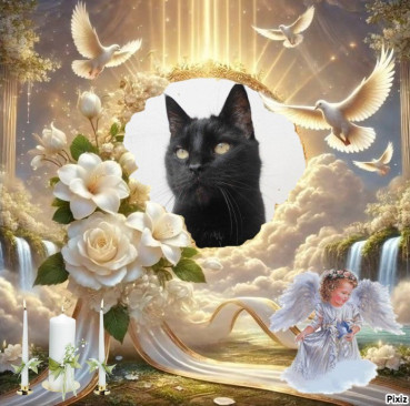 erna63 uploaded   21  day/s  ago