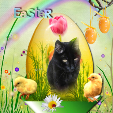 Julio of the erna63 family