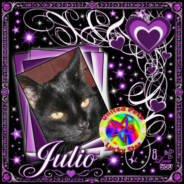 Julio of the erna63 family