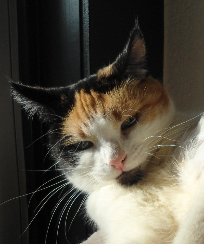 erna63 uploaded   9 year/s ago