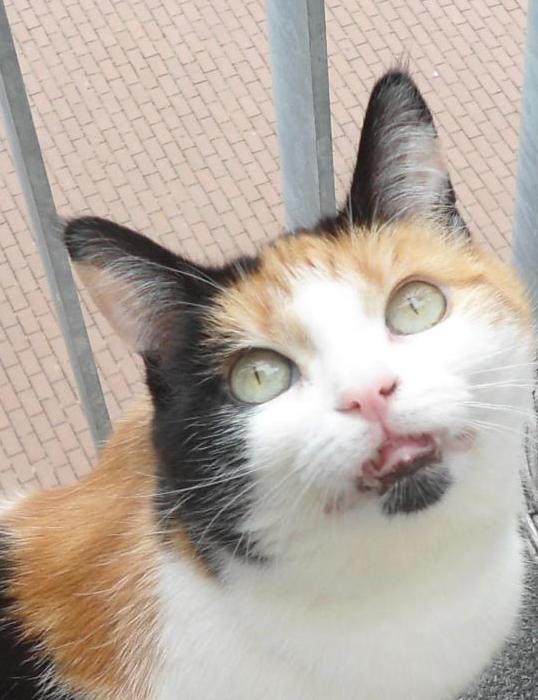 erna63 uploaded   8 year/s ago