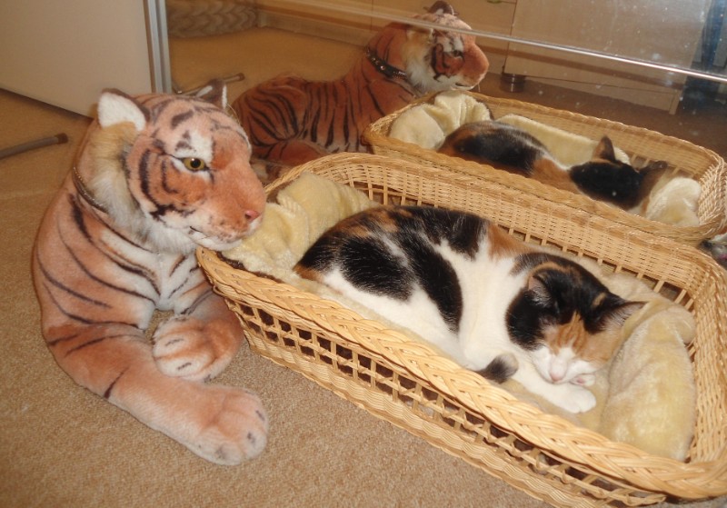 erna63 uploaded   6 year/s ago