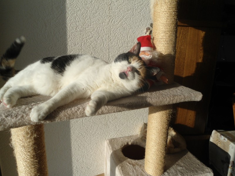 erna63 uploaded   6 year/s ago