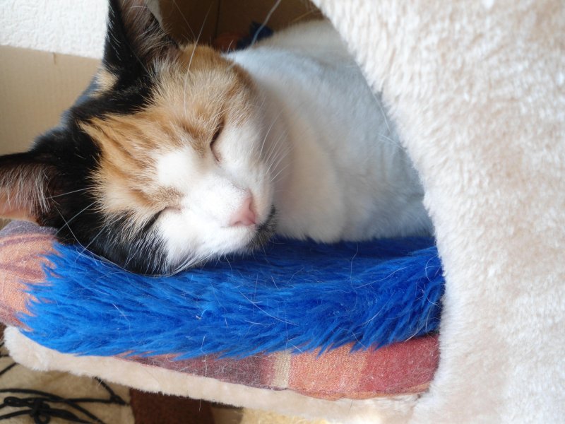 erna63 uploaded   5 year/s ago