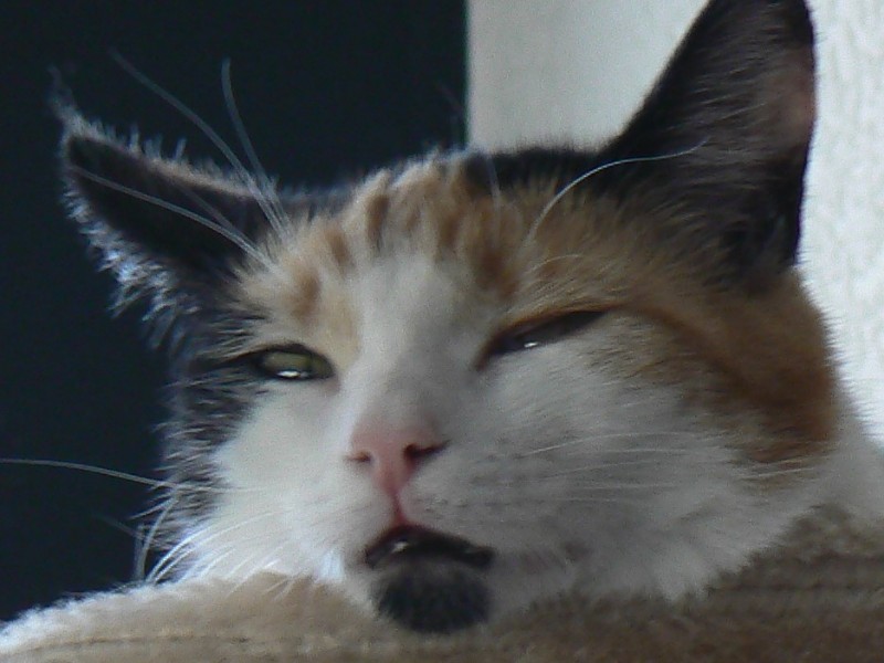 erna63 uploaded   4 year/s ago