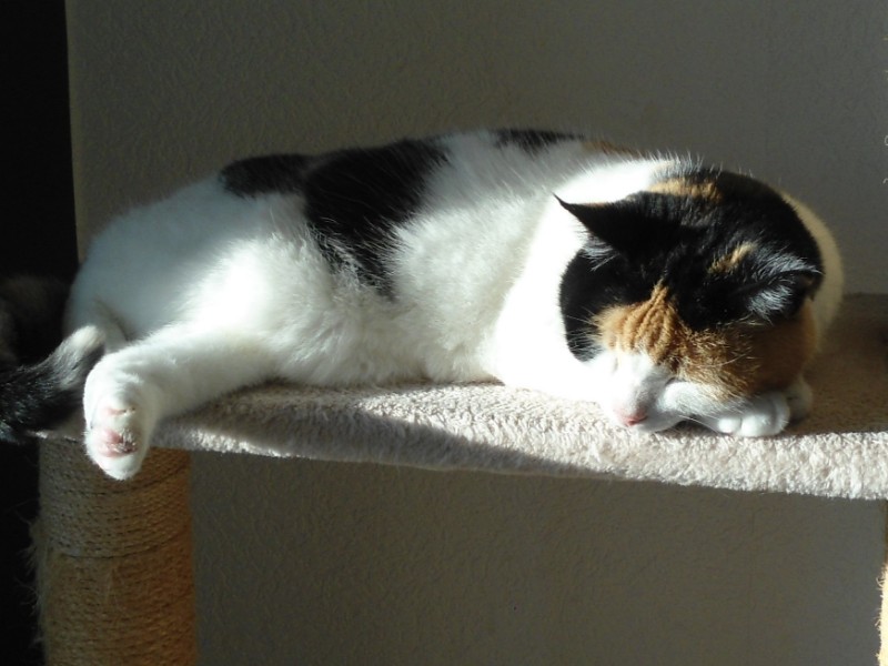 erna63 uploaded   3 year/s ago