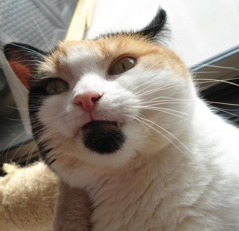 erna63 uploaded   3 year/s ago