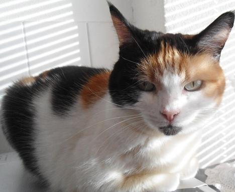 erna63 uploaded   2 year/s ago