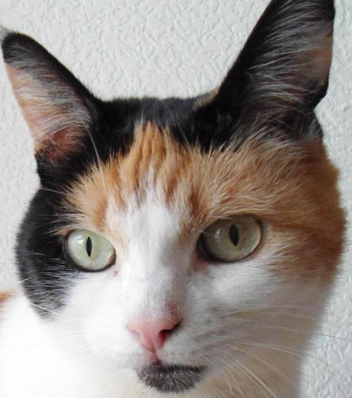 erna63 uploaded   2 year/s ago