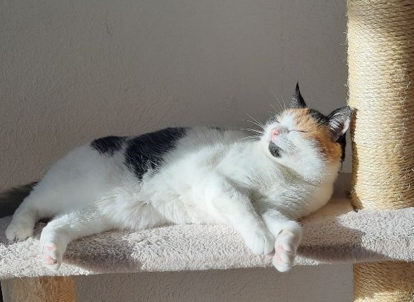 erna63 uploaded   1 year/s ago