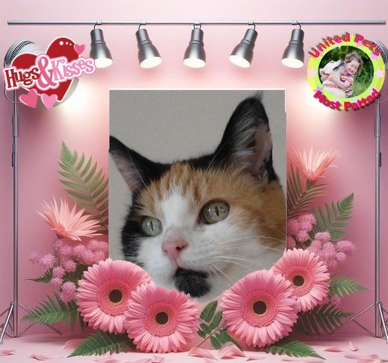 erna63 uploaded   2 year/s ago