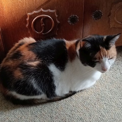 erna63 uploaded   1 year/s ago