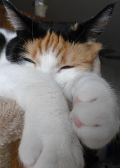 erna63 uploaded   1 year/s ago