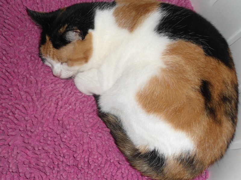 erna63 uploaded   1 year/s ago