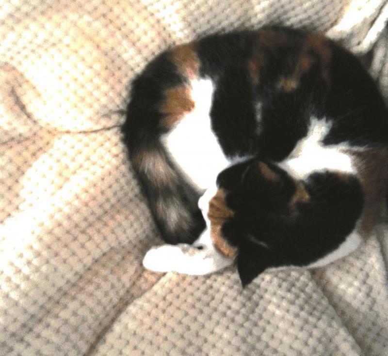 erna63 uploaded   1 year/s ago